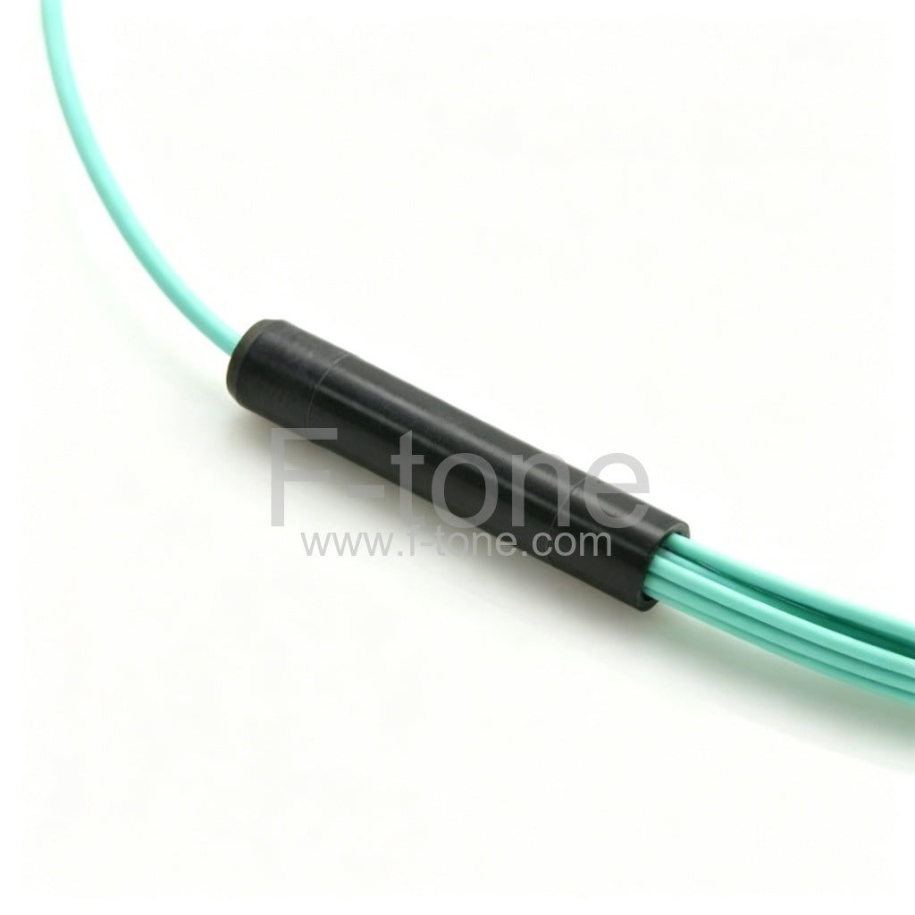12 Fibers OM4 Multimode 12 Strands MPO-LC Harness Cable 3.0mm LSZH/Riser