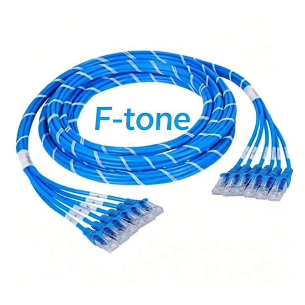 cat6-u06ppbl-30m