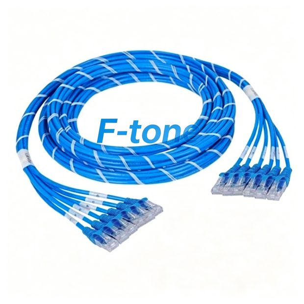 cat6-u24ppbl-30m