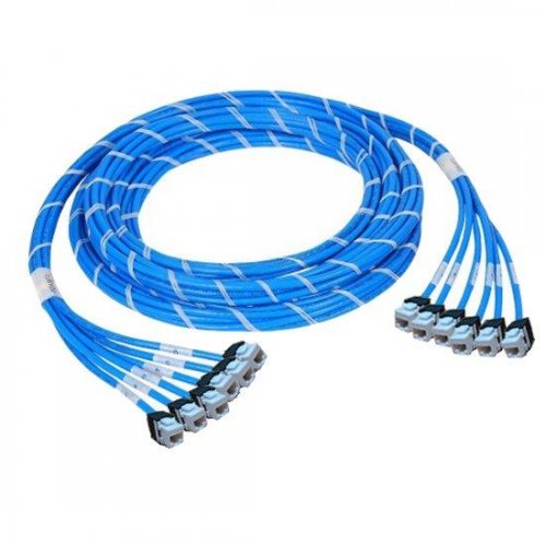 5m (16.4ft) 12 Jack to 12 Plug CAT6A Unshielded PreTerminated Copper Trunk Cable