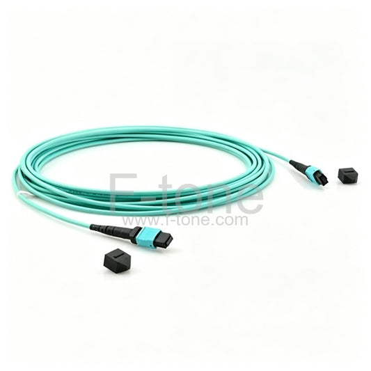 24 Fibers OM4 Multimode 24 Strands MTP Patch Cable 3.0mm LSZH/Riser