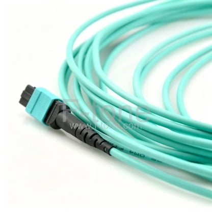 32 Fibers MTP-32 OM4 Multimode 32 Strands MTP Fiber Jumper Cable 3.0mm LSZH/Riser