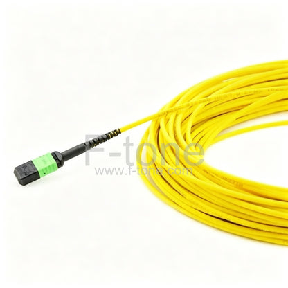 32 Fibers MTP-32 SingleMode 32 Strands MTP Fiber Jumper Cable 3.0mm LSZH/Riser