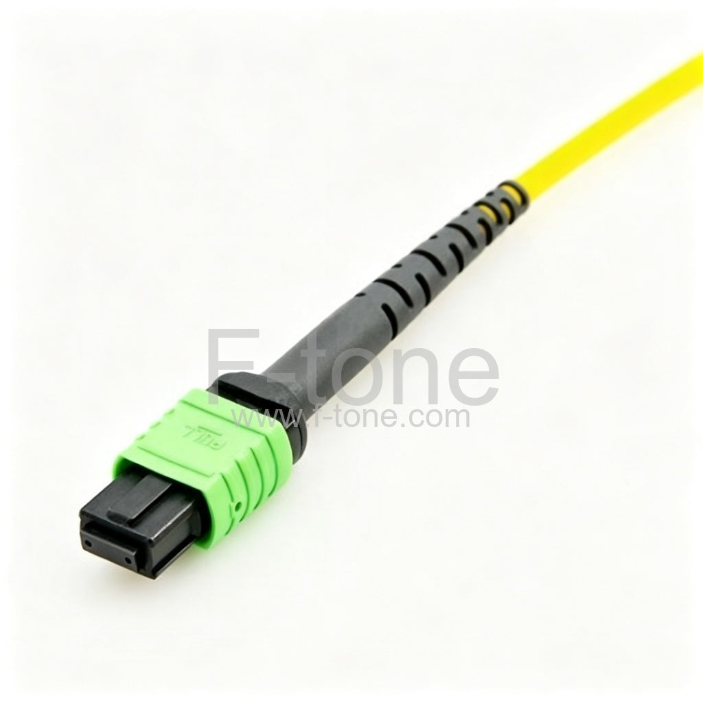 32 Fibers MTP-32 SingleMode 32 Strands MTP Fiber Jumper Cable 3.0mm LSZH/Riser