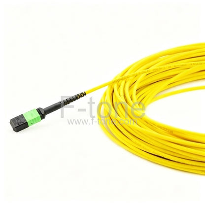 36 Fibers Single-Mode 12 Strands MTP Trunk Cable 3.0mm LSZH/Riser