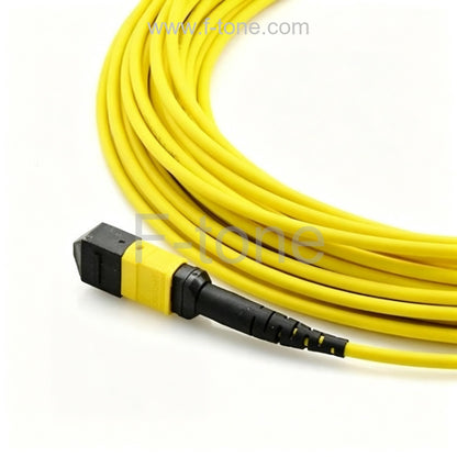 72 Fibers Single-Mode 12 Strands MTP Trunk Cable 3.0mm LSZH/Riser