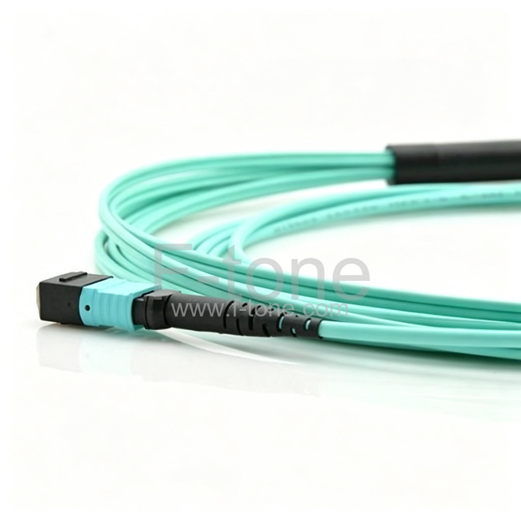 12 Fibers OM3 Multimode 12 Strands MTP to LC Harness Cable 3.0mm LSZH/Riser