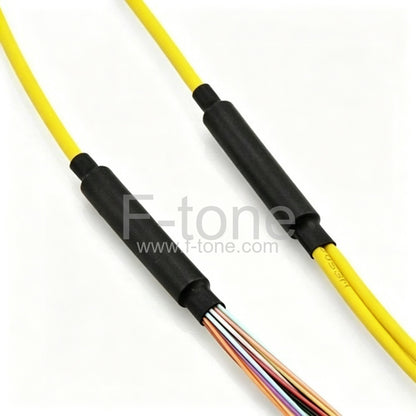 24 Fibers Single-Mode 12 Strands MTP Harness Cable 3.0mm LSZH/Riser