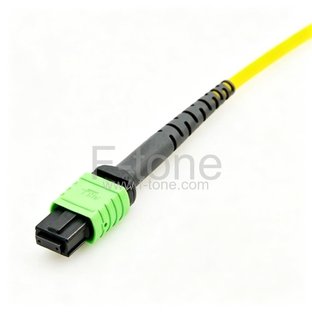 32 Fibers MPO-32 SingleMode 32 Strands MPO Fiber Jumper Cable 3.0mm LSZH/Riser