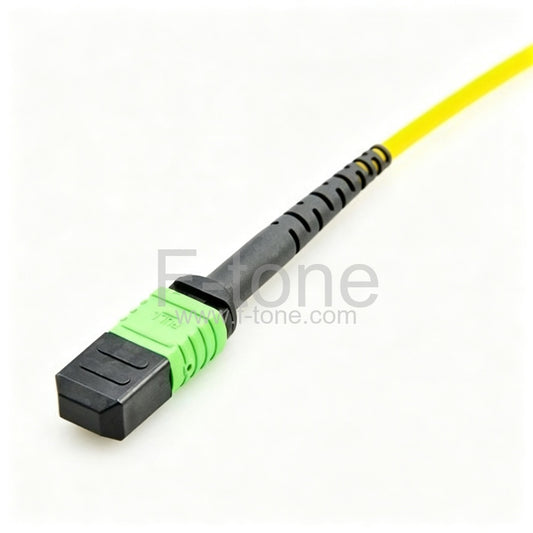 72 Fibers Single-Mode 12 Strands MPO Trunk Cable 3.0mm LSZH/Riser