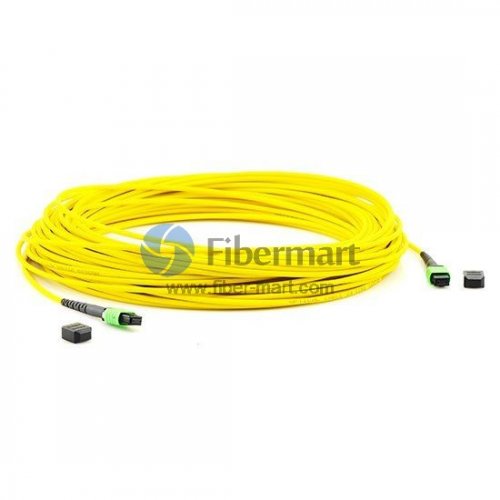 72 Fibers Single-Mode 12 Strands MPO Trunk Cable 3.0mm LSZH/Riser