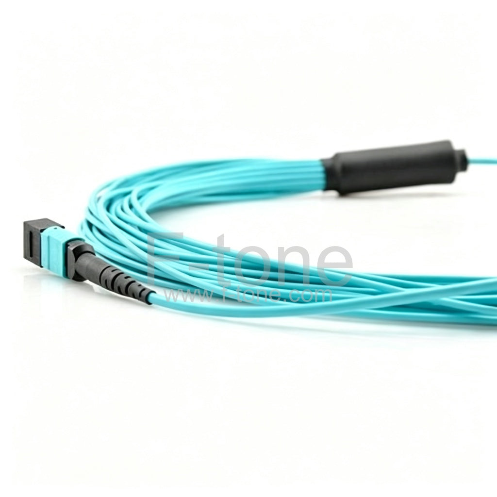 24 Fibers OM4 Multimode 12 Strands MPO Harness Cable 3.0mm LSZH/Riser