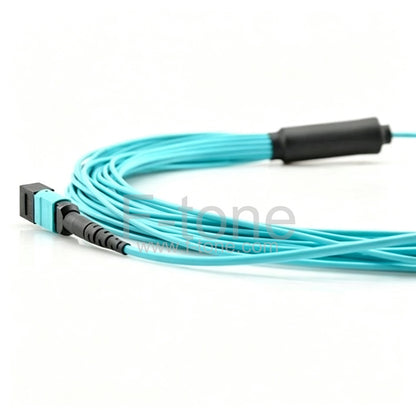 72 Fibers OM4 Multimode 12 Strands MPO Harness Cable 3.0mm LSZH/Riser
