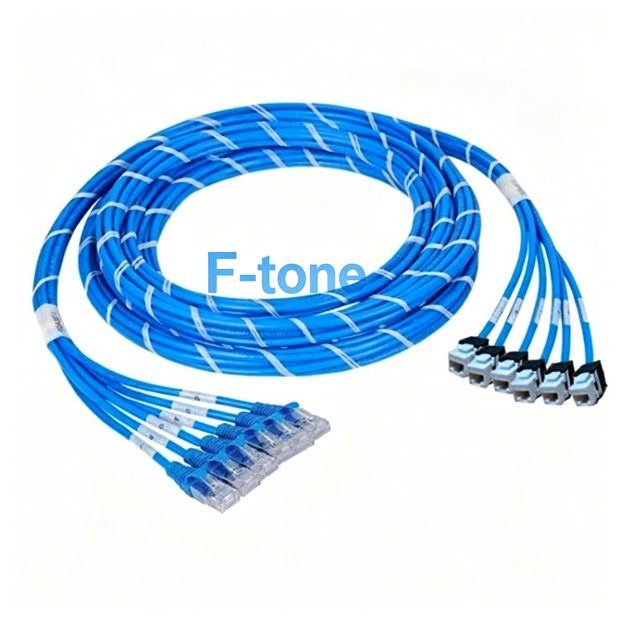cat6-u06jpx-xm
