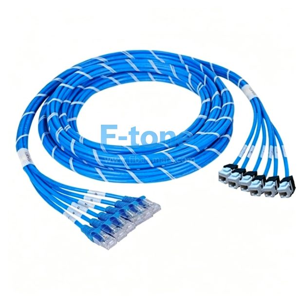 cat6-u24jpbl-30m