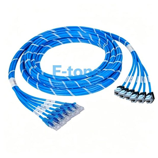 cat6-u24jpbl-30m