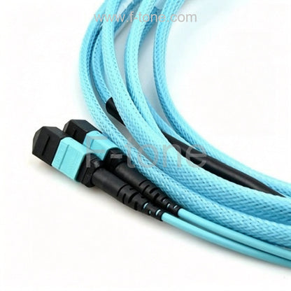 Customized 24 Fibers OM4 Multimode 12 Strands MTP Harness Cable 3.0mm LSZH/Riser