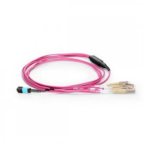 Customized 8 Fibers OM4 Multimode 12 Strands MPO LC Harness Cable 3.0mm LSZH/Riser