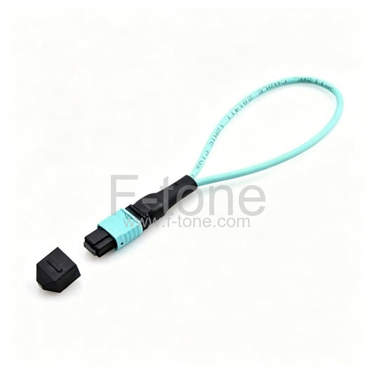 24 Fibers MTP Female Type 1 OM3 Multimode Fiber Loopback Module