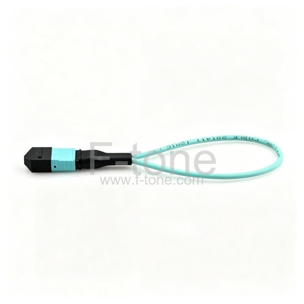 24 Fibers MTP Female Type 1 OM3 Multimode Fiber Loopback Module