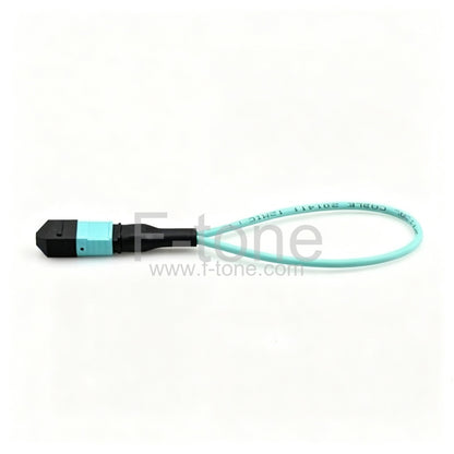 24 Fibers MTP Female Type 1 OM3 Multimode Fiber Loopback Module