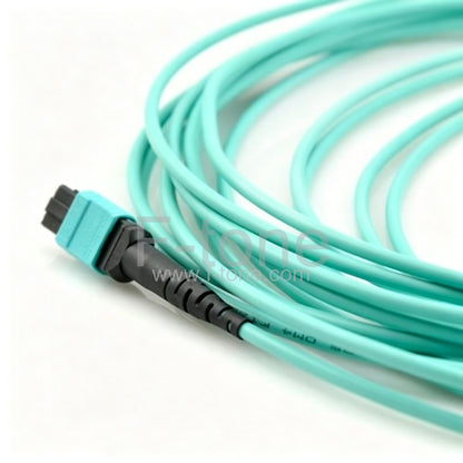 24 Fibers OM4 Multimode 24 Strands MPO Patch Cable 3.0mm LSZH/Riser