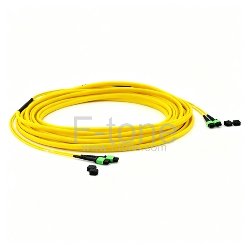 24 Fibers Single-Mode 12 Strands MTP Trunk Cable 3.0mm LSZH/Riser