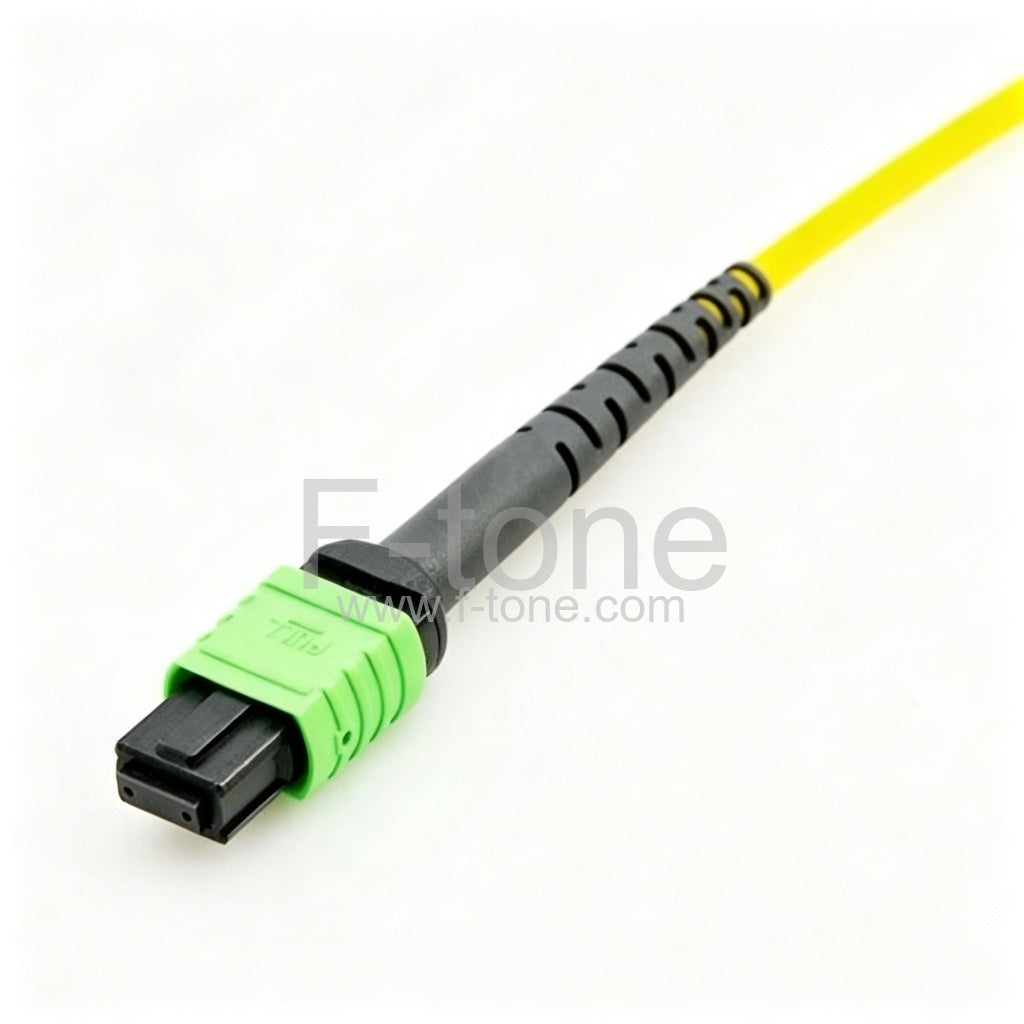 24 Fibers Single-Mode 24 Strands MTP Harness Cable 3.0mm LSZH/Riser