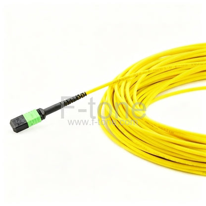 96 Fibers Singlemode 24 Strands MTP Harness Cable 3.0mm LSZH/Riser