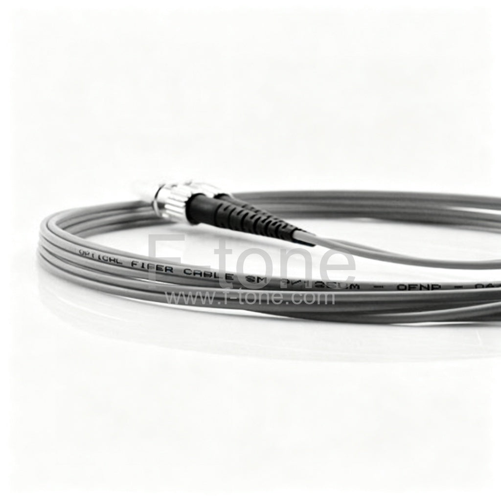 E2000/UPC to E2000/UPC Duplex Multimode OM1 Armored Patch Cable